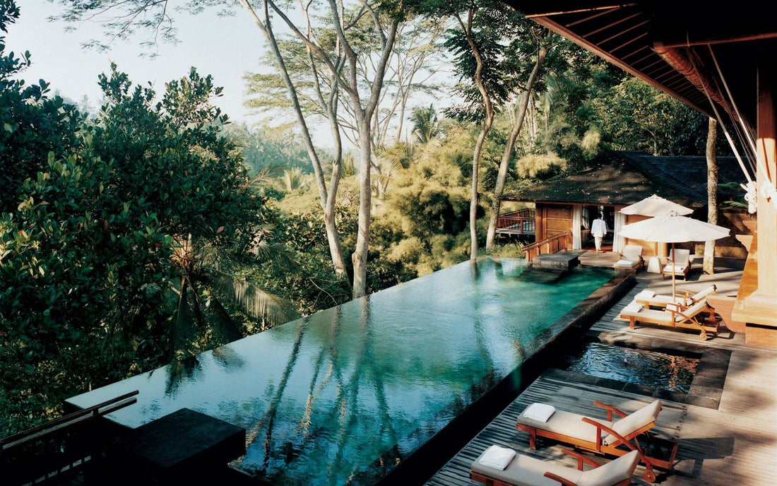 Holistic Holidays