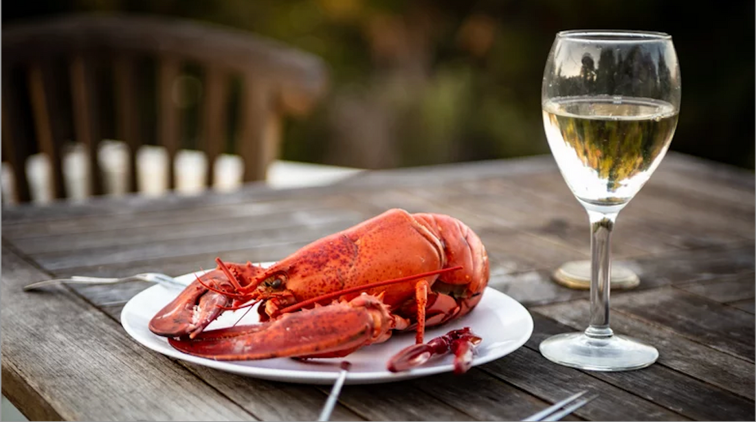 The Art of Food and Wine Pairings