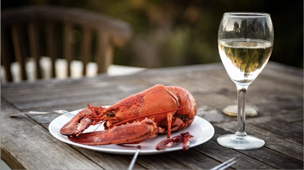 The Art of Food and Wine Pairings