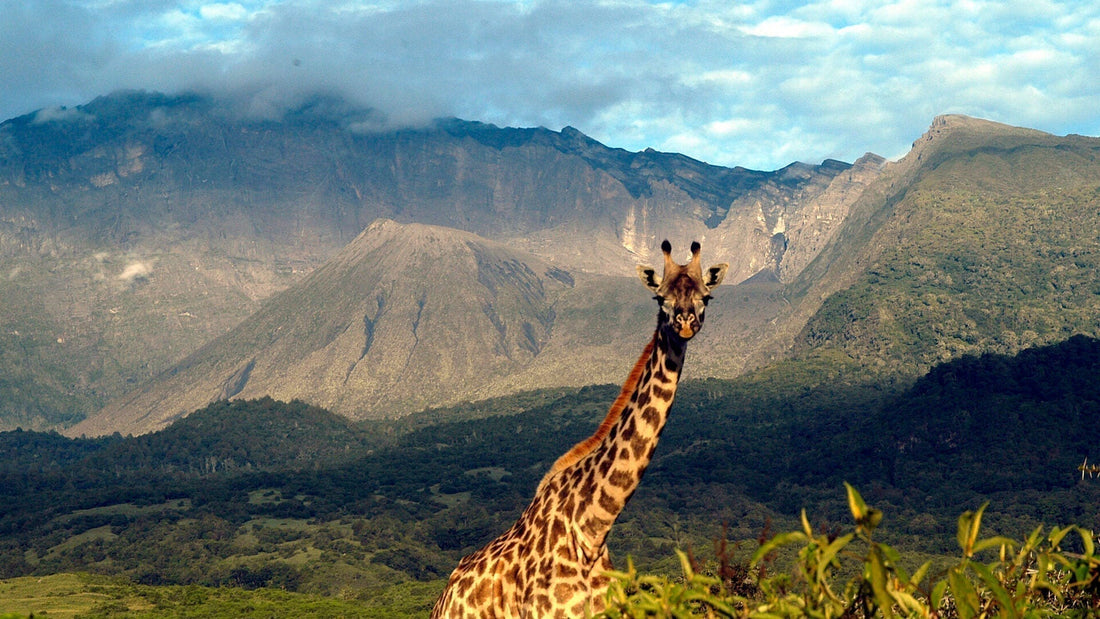 Warm Winter Escape Destinations
