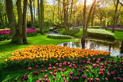 The World's Most Beautiful Gardens
